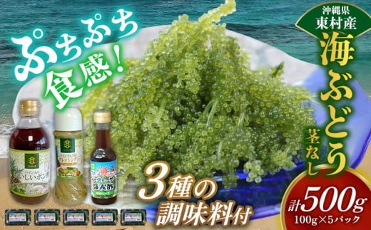 美ら海 沖縄県産 海ぶどうセット／茎なし500g（100g×5パック）＆調味料３種セット 海ブドウ 海ぶどう うみぶどう パック 茎なし ポン酢 ドレッシング たれ付き クビレズタ 海鮮 海藻 プチプチ おつまみ 沖縄料理 ご当地 特産品 グルメ 常温 沖縄県 東村