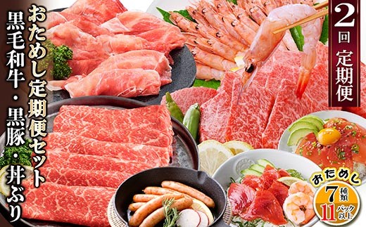 定期便2回配送　鹿児島県産黒毛和牛・黒豚・漬丼　お試し定期便セット DD-6007_ 定期便 黒毛和牛 黒豚 かつお マグロ 海老 人気 おすすめ 送料無料 鹿児島県 枕崎 ソーセージ 赤身 【1486099】