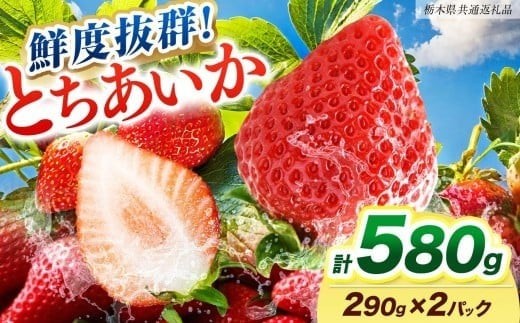 【ふるさと納税】[期間限定] 鮮度抜群とちあいか 290g×2P 先行予約【栃木県共通返礼品】｜栃木県産 矢板市産 フルーツ スイーツ デザート 果物  産地直送 栃木県 矢板市