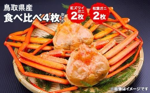 ＜10/1～寄附額改定＞鳥取県産松葉ガニと紅ズワイガニの食べ比べセット※着日指定不可※離島への配送不可 ※2026年2月上旬～3月下旬頃に順次発送予定 ｜ 蟹 かに 松葉ガニ 松葉蟹 紅ズワイガニ ボイル タグ付き 鳥取県産 北栄町 おすすめ 人気