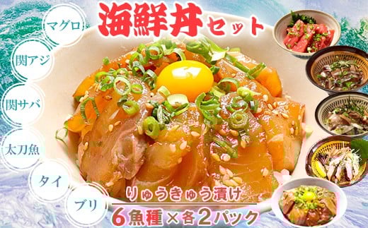 りゅうきゅう6種(本マグロ・関あじ・関さば・太刀魚・真鯛・ぶり)[各2食セット] 海鮮丼 漬け丼 大分郷土料理 豊後絆屋 魚 冷凍 加工品 惣菜 おすすめ おいしい 刺身 詰め合わせ おせち セット 産地直送 国産 海鮮 漬け 真空パック 小分け 惣菜 人気 鮪 マグロ まぐろ 関アジ 関あじ 関サバ 関さば  太刀魚 タチウオ たちうお 鯛 タイ たい 鰤 ブリ ぶり ＜101-005_5＞