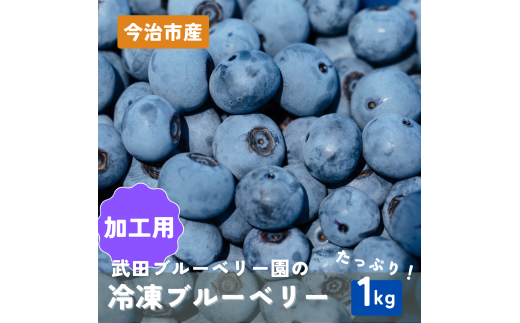 加工用冷凍ブルーベリー 1kg　規格外【V003080K1】