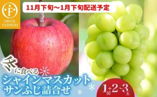 冬に食べるシャインマスカットとサンふじ詰合せ 1房（約500g） 2〜3玉［おぶせファーマーズ］ ぶどう りんご 林檎 リンゴ 果物 フルーツ  長野 信州 数量限定 令和7年産【2025年11月下旬〜2026年1月下旬発送】