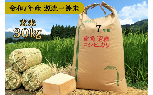【令和7年産】玄米 30㎏ 源流一等米 南魚沼産コシヒカリ 食味ランキング特A受賞 産地直送 中屋ふぁーむ【湯沢産コシヒカリ】