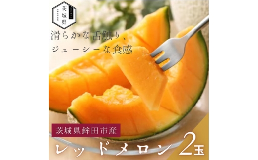 ＜優秀賞受賞農家直送＞鉾田市産レッドメロン　1.4kg以上×2玉　(※26年5月～発送予定)【1655542】