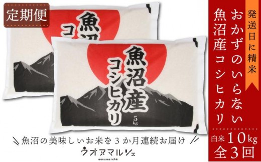 【令和7年産新米】【お米定期便/全３回】 おかずのいらない 魚沼産コシヒカリ　白米１０ｋｇ【2025年９月下旬より順次発送予定】