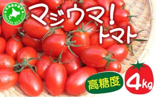 【2026年先行予約】北海道 伊達 岡本園芸 ミニトマト 高糖度 約4kg【マジウマ！トマト】 2281771 - 北海道伊達市
