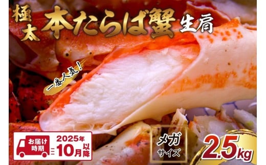 【1肩2.5kgの超極太10L以上メガサイズ】本たらば蟹 生肩 2.5kg【2025年10月以降の発送】【087B-030】