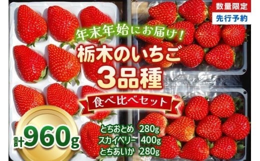 【先行予約】[数量限定] 年末年始にお届け！贅沢な栃木のいちご3種食べ比べセット 960g 澳原いちご農園 | とちあいか とちおとめ スカイベリー いちご 苺 フルーツ 果物 産地直送 