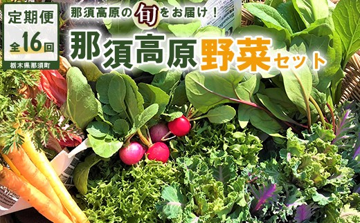 [全16回定期便]那須ブランド 那須高原野菜セット(5月後半1回、6月〜12月各月2回、翌年1月1回)| 野菜 お野菜 新鮮 詰め合わせ やさい みずみずしい 美味しい〔P-66〕※北海道・沖縄・離島への配送不可 ※2026年5月中旬〜2027年1月下旬頃に順次発送予定