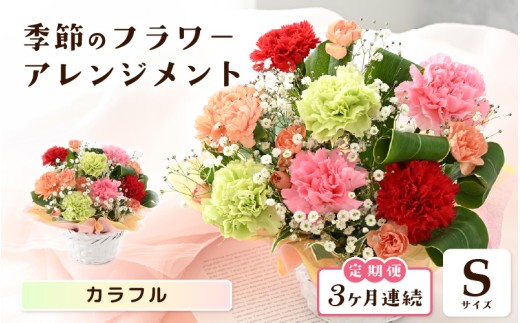 定期便 ≪3ヶ月連続お届け≫ 選べるカラー 季節のフラワーアレンジメント S ( カラフル) 【お花 フラワー アレジメント 花束 ギフト 生花 プレゼント 花束 花 記念日 敬老の日 お祝い】 [B-20702_03]  2286571 - 福井県坂井市