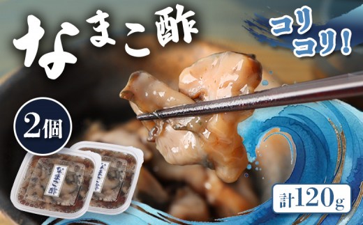 【マリナシーフーズ】なまこ酢×2個 120g | ナマコ 酢 利尻昆布 低カロリー 酒の肴 おつまみ 海鮮 珍味 美容 健康 小分け 時短 お取り寄せ 北海道 羽幌町 羽幌【0213801】