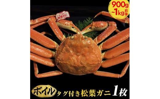 ＜10/1～寄附額改定＞【早期受付】【ボイル】タグ付き松葉ガニ　特大1枚（900g～1kg前後）《かに カニ 蟹》※着日指定不可※2025年11月上旬頃から順次発送予定