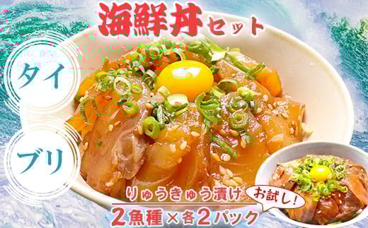 りゅうきゅう2種(真鯛・ぶり)[お試し各2食セット] 海鮮丼 漬け丼 大分郷土料理 豊後絆屋 ふるさと納税 魚 冷凍 加工品 惣菜 おすすめ おいしい 刺身 詰め合わせ おせち セット 産地直送 国産 大分県 海鮮 漬け 真空パック 小分け 惣菜  JAL機内食 人気 鯛 タイ たい 鰤 ブリ ぶり ＜101-031＞