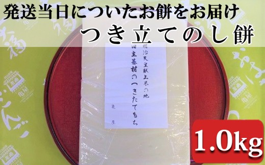 お米と水だけで丁寧について作った柔らかのし餅。
