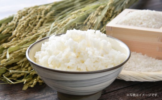 A172  【 令和6年産 】 ゆめぴりか ななつぼし （ 無洗米 ） 特Aランク 真空パック 2kg×各2袋