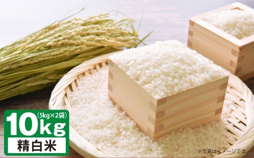A242 【令和7年産】 ゆめぴりか （ 精白米 ） 栽培期間中農薬化学肥料不使用 5kg×2袋