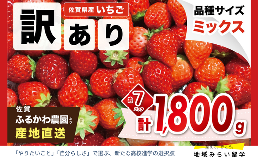 画像はイメージです。実際のお届けはいちごさん約1,800g。【2026年2月頃発送予定】の先行予約のお品です。