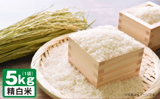 A239 【令和7年産】 ゆめぴりか （ 精白米 ） 栽培期間中農薬化学肥料不使用 5kg