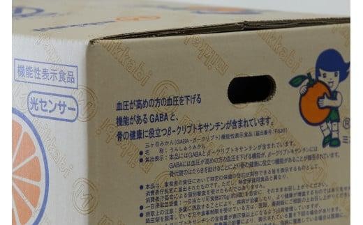 静岡県のふるさと納税 三ヶ日みかん（早生温州）4kg【2025年11月上旬から12月上旬順次発送】