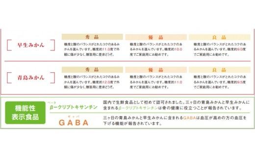 静岡県のふるさと納税 三ヶ日みかん（早生温州）4kg【2025年11月上旬から12月上旬順次発送】