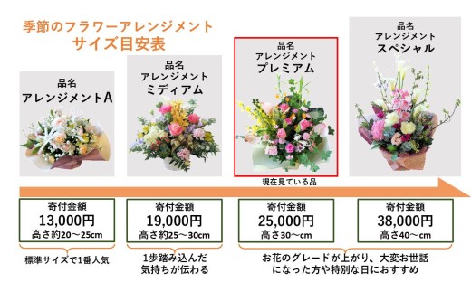 サイズ目安表