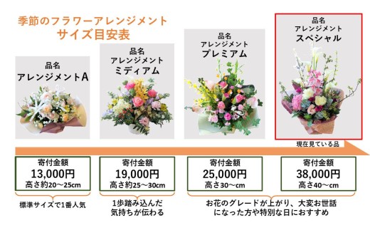 サイズ目安