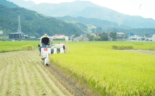 福岡県 香春町 採銅所産 夢つくし 5kg×4袋 計20kg 精米 白米 お米 HAN