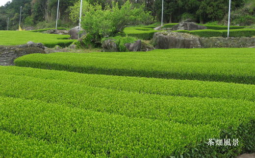 画像はイメージです。