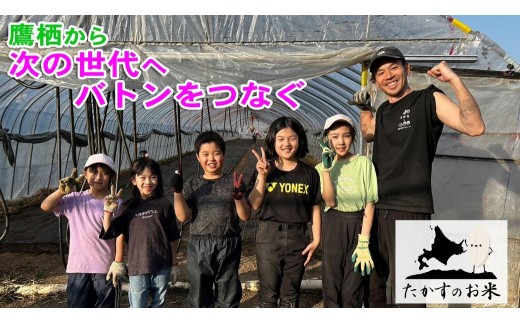 【 令和6年産 】 ななつぼし （ 無洗米 ） 北海道 米 定番の品種  5kg