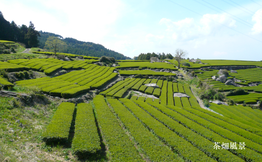 画像はイメージです。