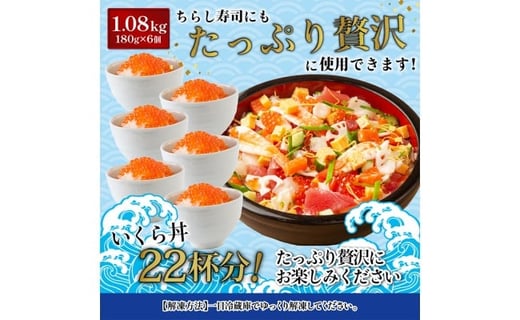 ★入金後順次発送！2025年新物★ 天然秋鮭 北海道産 いくら醤油漬け1.08kg (180g×6)