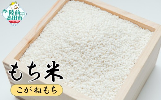 【先行予約】 もち米 3kg 品種：こがねもち 【 餅 赤飯 おこわ おはぎ おしるこ 数量限定 岩手県産 マルキヨファーム 】2025年10月頃から発送予定 RT3034