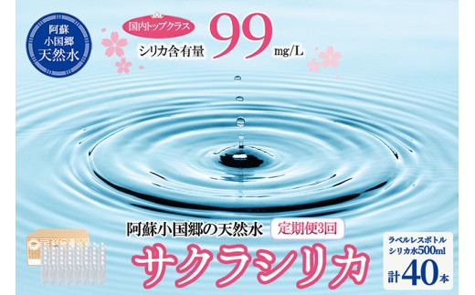 【桜屋】3回 定期便 シリカ天然水「サクラシリカ」500ml 40本 計120本 定期便 シリカ含有量99mg/L シリカ水 ラベルレス 水 ミネラルウォーター 飲料水 飲料 ペットボトル ナチュラルウォーター サルフェート 炭酸水素イオン ミネラル 国産 阿蘇 小国郷 984473 - 熊本県小国町