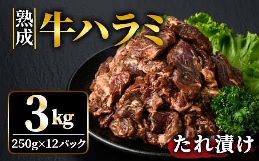 熟成牛ハラミ 3kg (250g×12パック) たれ 味付 小分け 冷凍 焼肉 焼き肉 牛 牛肉 ビーフ ハラミ BBQ 【そうざい男しゃく】【ho1470】 2098615 - 茨城県常陸大宮市