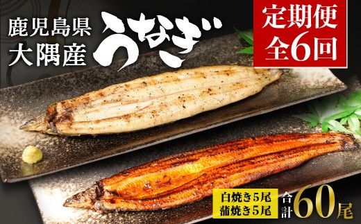 【定期便全6回】鹿児島県大隅産 千歳鰻の白焼5尾・蒲焼き5尾 (1尾110g~130g) 2283790 - 鹿児島県大崎町
