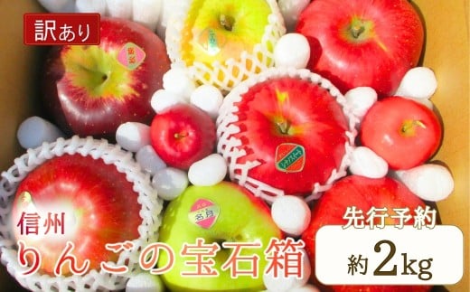 【2025年先行予約】訳あり りんご 園主におまかせ 詰合せ 計約2kg（5~8玉）りんごの宝石箱 産地直送 シナノスイート シナノゴールド 秋映 あいかの香り 群馬名月 王林 紅玉 シナノホッペ サンふじ 千曲市 長野県 信州