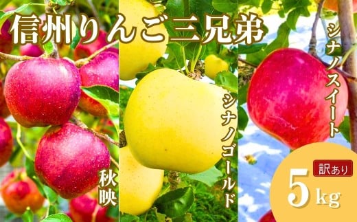 【2025年先行予約】訳あり りんご３種詰め合わせ りんご三兄弟（秋映・シナノスイート・シナノゴールド）計約5kg 林檎 あきばえ 食べ比べ セット 千曲市 長野県産 信州