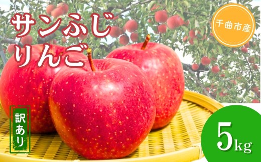 【2025年先行予約】訳あり りんご サンふじ  約5kg 果物 フルーツ 長野県産 千曲市 信州