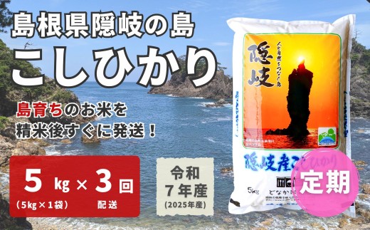 1707　【令和7年産】隠岐産 こしひかり 5kg（5kg×1袋）【毎月・3回配送】