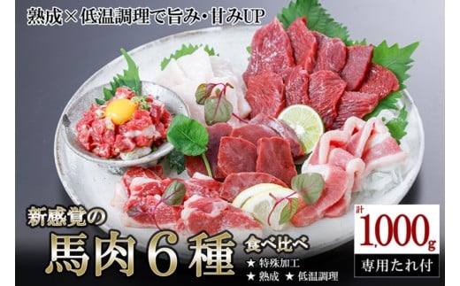 【出荷月指定あり】厳選 馬肉 盛り合わせ 6種 1000g 1kg 赤身 フタエゴ ハツ サガリ ユッケ コウネ 特許製法 氷温熟成 低温調理 レア 小分け 焼くだけ簡単 専用醤油 タレ付 真空パック レビューキャンペーン 対象品 熊本 小国町