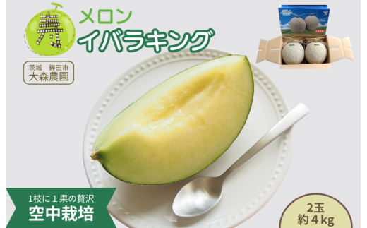 寿メロン 「空中栽培」で栽培した贅沢な イバラキングメロン  アンテナ付き 2玉 計約4kg メロン 大森農園 先行予約 フルーツ先行予約 メロン先行予約