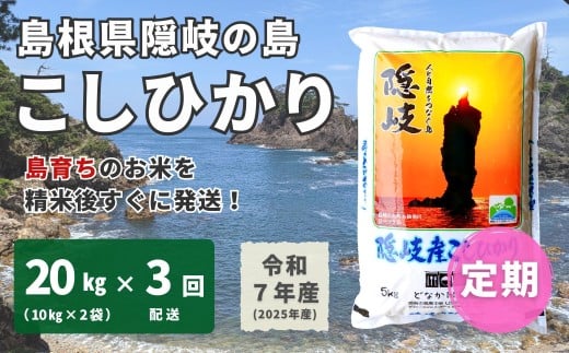 1709【令和7年産】隠岐産 こしひかり 20kg（10kg×2袋）【毎月・3回配送】