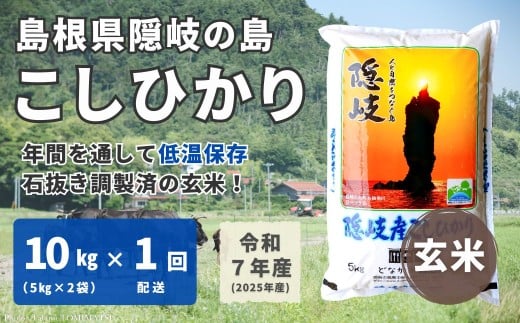 1705　【令和7年産】隠岐産 こしひかり 玄米 10kg（5kg×2袋） 775205 - 島根県隠岐の島町
