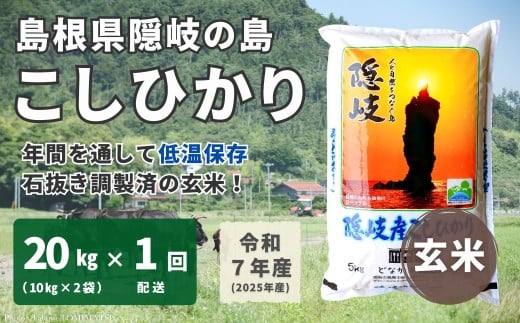 1706　【令和7年産】隠岐産 こしひかり 玄米 20kg（10kg×2袋）