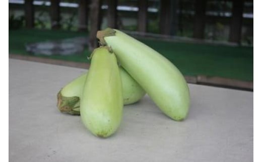 狩留家なす5本入(化粧箱入)