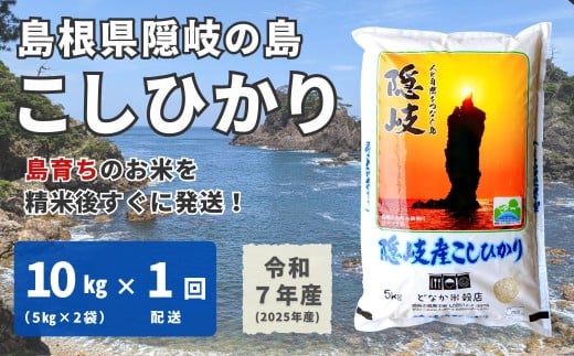 1701　【令和7年産】隠岐産こしひかり10Kg（5Kｇ×2袋） 774622 - 島根県隠岐の島町