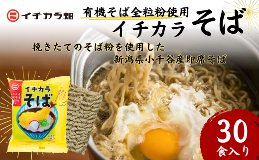 有機そば全粒粉使用 有機栽培のインスタント蕎麦「イチカラそば」30食入 イチカラ畑 ゆで時間2分半[0021-0007-01]