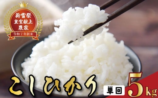 令和7年産 コシヒカリ 白米 5kg お米 白米 精米 新米 コシヒカリ 産地直送 スピード発送 ごはん ご飯 高知県産 弁当 おにぎり 料理 新嘗祭皇室献上米 令和7年 R7年 高知県安芸市