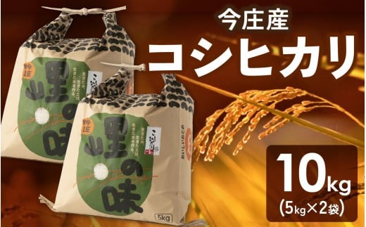 【先行予約】【令和7年産】朝夕の寒暖差が生む極旨のお米 今庄産 コシヒカリ 10kg(5kg×2)  11月より順次発送 こしひかり 福井 北陸 おこめ 718203 - 福井県南越前町